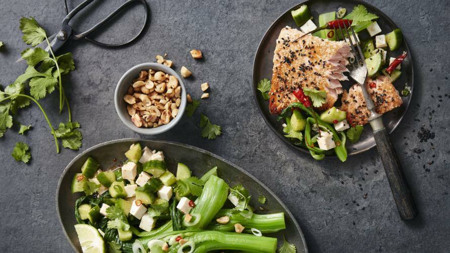 Platte mit Gurken-Tofu-Salat und Pak Choi, daneben Teller mit jenem Gemüse und Lachs, außerdem Schälchen mit Erdnüssen