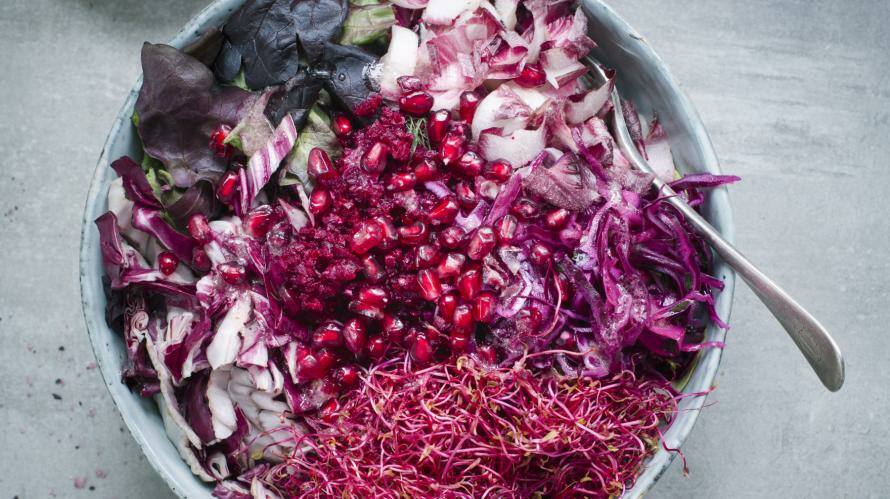 Lila Salat aus Radichio, Chicorée, Rotkohl, Roter Bete und Granatapfelkernen