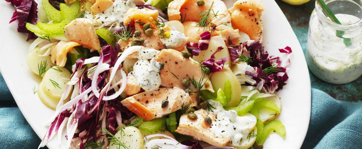 Radicchio-Salat mit pochiertem Lachs, Fenchel und Sellerie auf einem weißen Teller