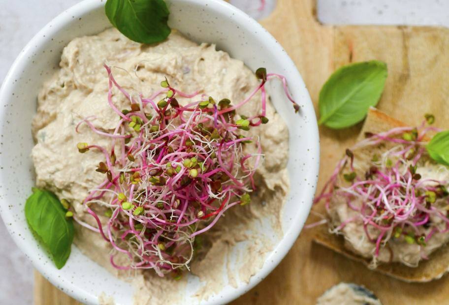 No Carb Thunfisch-Sardinen-Spread