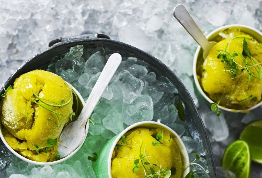 Mango-Melonen-Sorbet mit Chili