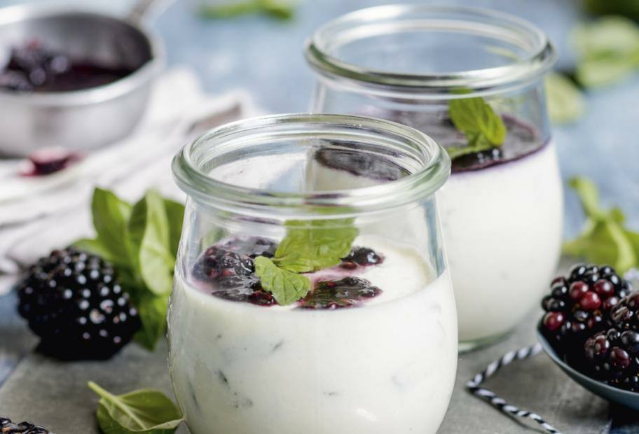 Low Carb-Panna cotta mit Brombeeren | Lowcarb.de