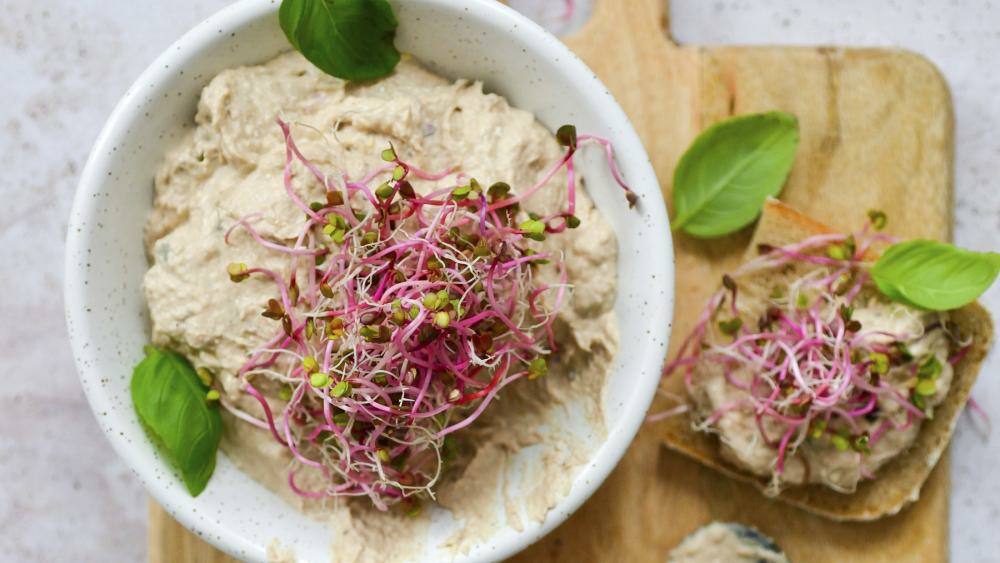 No Carb Thunfisch-Sardinen-Spread