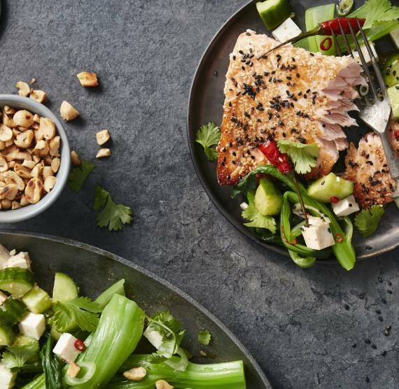 Platte mit Gurken-Tofu-Salat und Pak Choi, daneben Teller mit jenem Gemüse und Lachs, außerdem Schälchen mit Erdnüssen