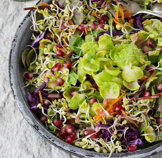 Bunter Rosenkohlsalat mit Granatapfelkernen und Sprossen in Schale