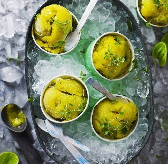 Sorbet in einem Eisbecher