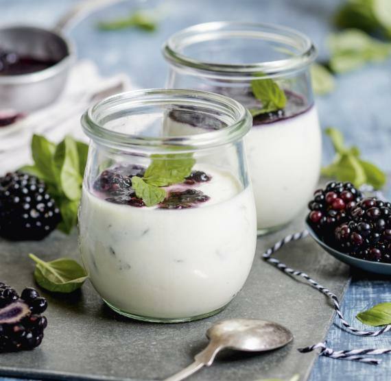Panna cotta in kleinen Dessertgläsern mit Brombeeren