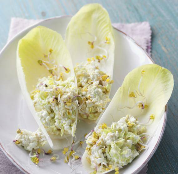 Chicoréeblätter gefüllt mit Hüttenkäse und Sprossen auf einem Teller